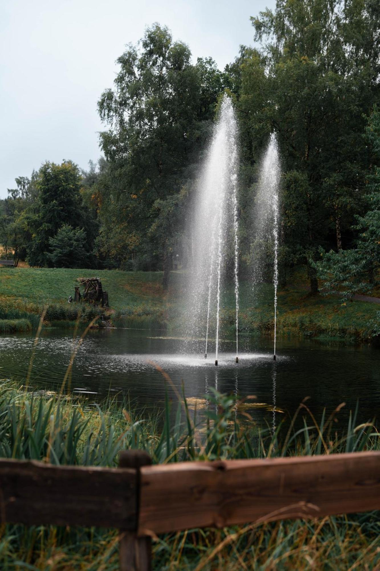 Ferienwohnung Weitblick 274 Hohegeiß Esterno foto